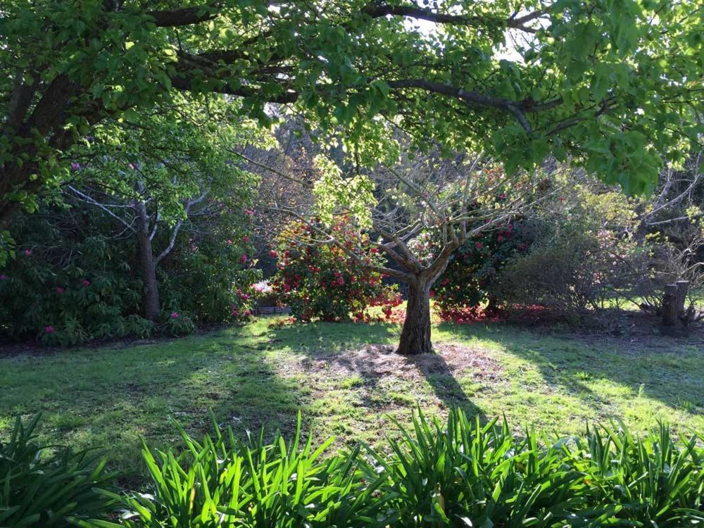 Bed & Breakfast Farm