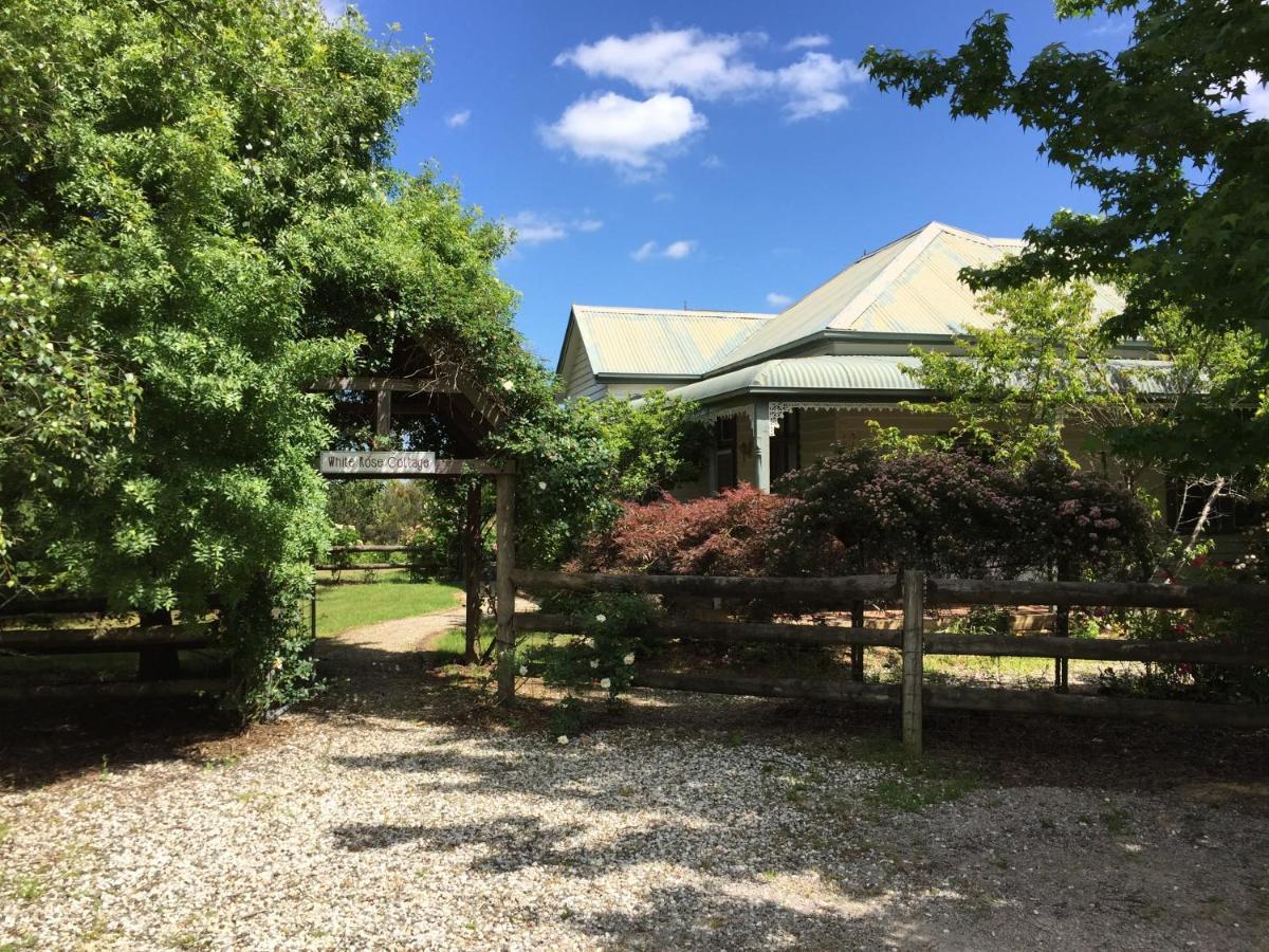 Farm Bed & Breakfast